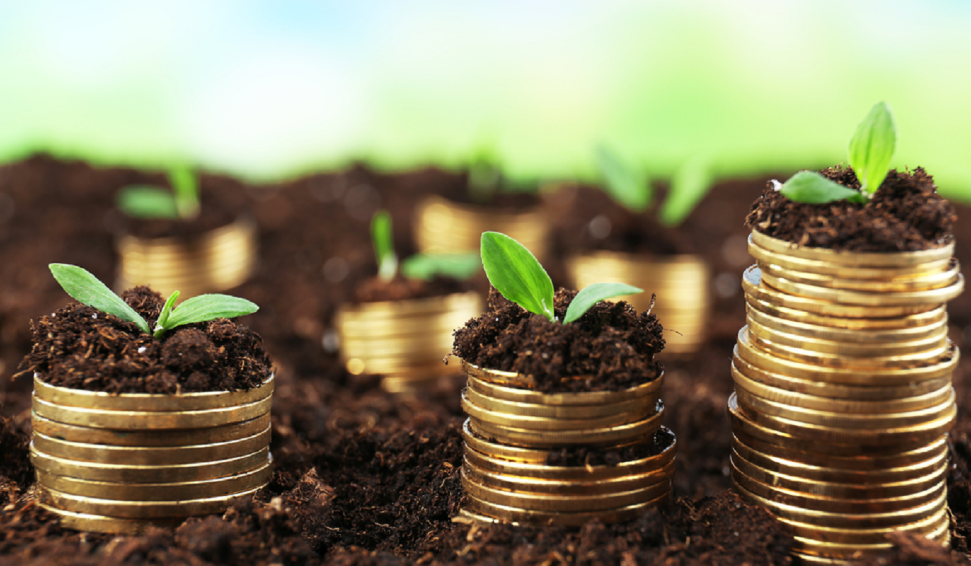 FWF MicroFinance Ltd. Creating Wealth Together!